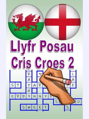 Llyr Posau Cris Croes 2 : Ffordd wych o ddysgu a chael hwyl