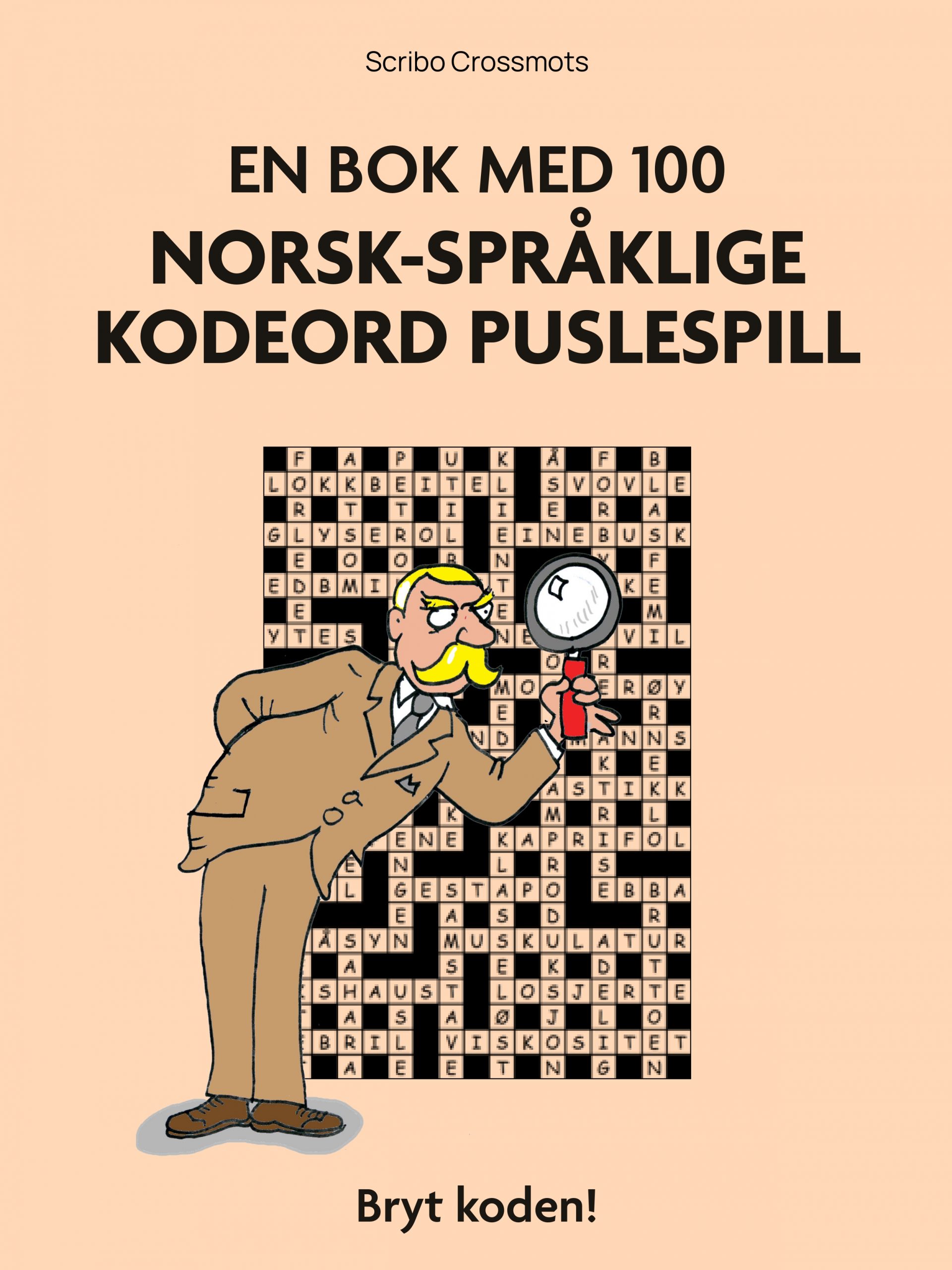 En bok med 100 norsk-språklige kodeord puslespill : Bryt koden!
